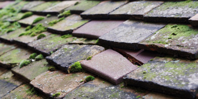 Haddon roof repair costs